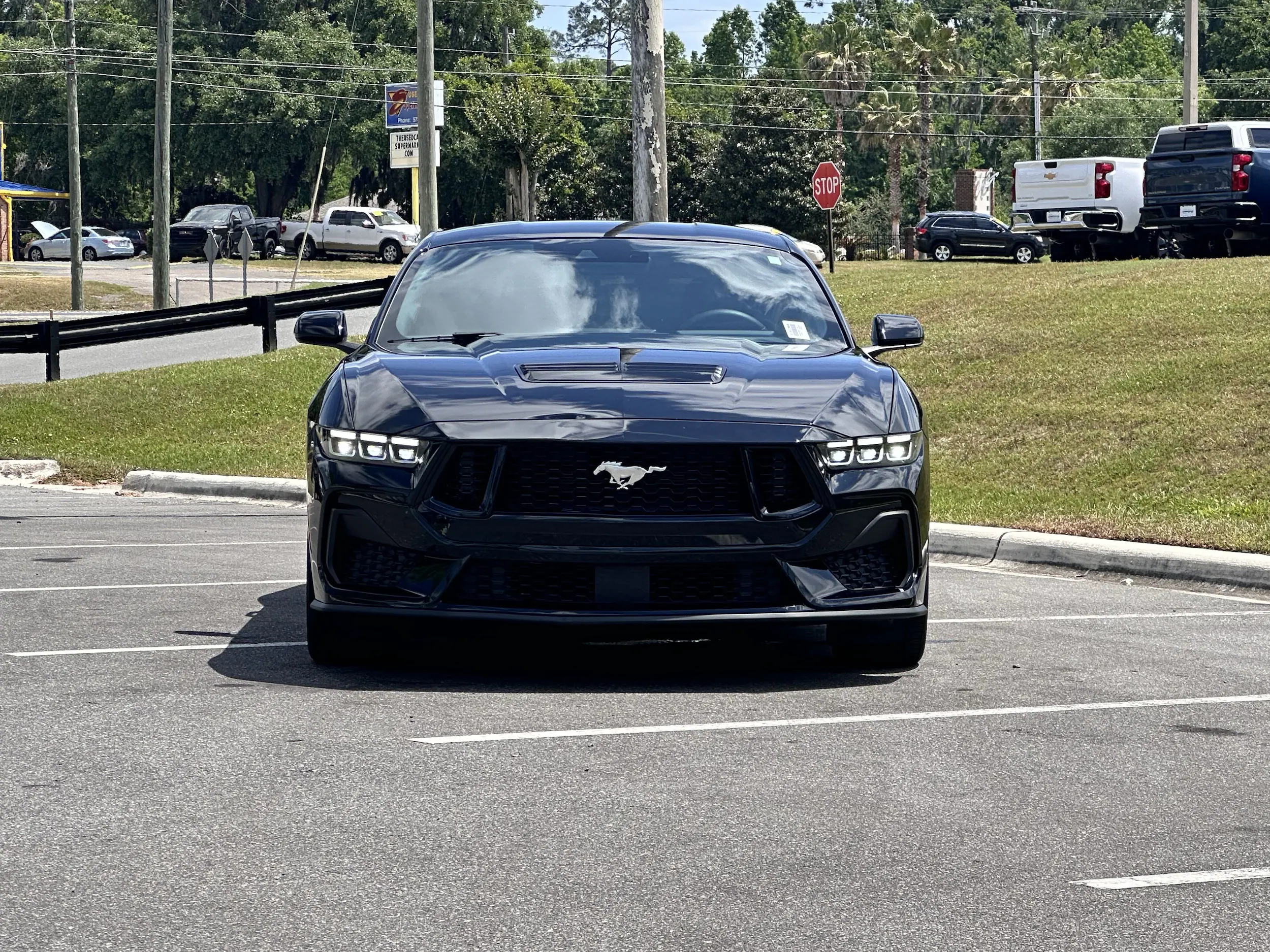 _Mustang GT _Mustang GT